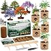 Bonsai Starter Kit for Adults – Complete Indoor Tree Growing Set with Jacaranda Seeds, Tools & Planter | DIY Gardening Hobby Kits for Plant Lovers, Unique Easter Gifts for Men & Women