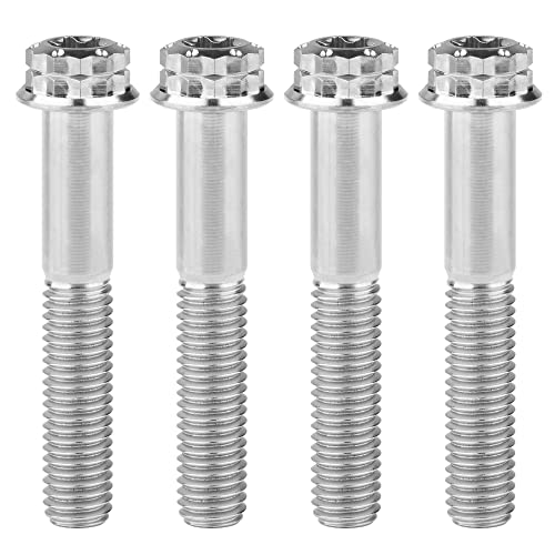 Titanium Flange M10 Bolt (M10x45mm Pitch 1.25mm, Silver)