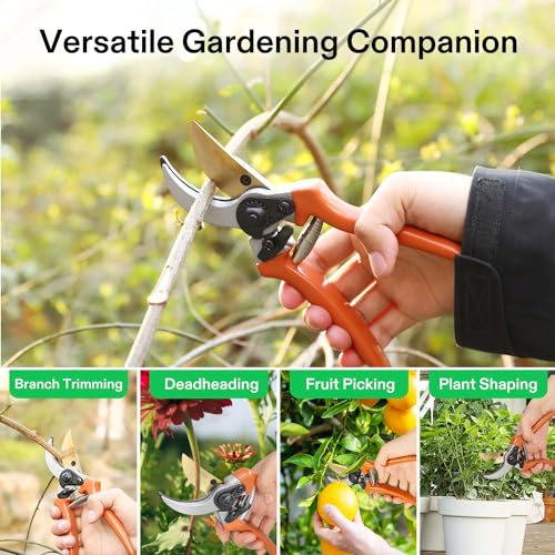 Image of VIVOSUN 8 inch Bypass Pruning Shears for Gardening, Heavy-Duty Garden Scissors, Ultra Sharp Pruners with 3 /4 in. Cut Capacity, Garden Clippers for Pruning