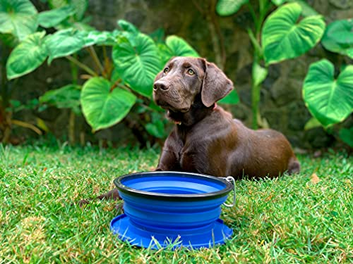 Tuff Pupper Superbigslurp - Collapsible Dog Bowls | Convenient Dog Travel Bowls W/Storage Lid | Keeps Pups Hydrated And Full | Portable Dog Water Bowls & Large Travel Bowls For Pets | Patent Pending #TOP4