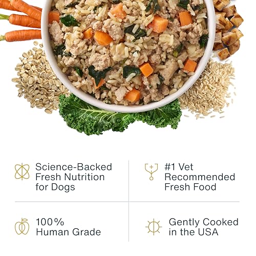 JustFoodForDogs JustFresh Wet Dog Food, Fresh Pet Meals and Toppers with No Preservatives, Resealable Package, Human Grade, Home-Cooked Chicken, 12 oz - 7 Pack - Image 4