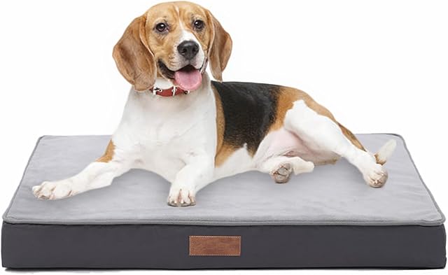 Jaspuriea Orthopedic Dog Beds Medium Washable with Waterproof Removable Cover, Anti-Slip Dog Bed Medium, Deluxe Flannel Comfy Dog Crate Mattress, Grey, 75x50x9cm