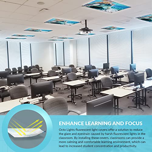 Image of Fluorescent Light Cover for Classroom Ceiling Lights - Premium Backlit Film Insert 2x4 (22.38 inchx46.5 inch) Florescent Fixture (Pack of 1) School, Office, Sensory, Improve Focus, Eliminate Headache - Turtle