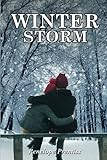 WINTER STORM (4 Seasons of Romance)
