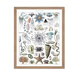 Poster Master Vintage Adolphe Millot Poster – 