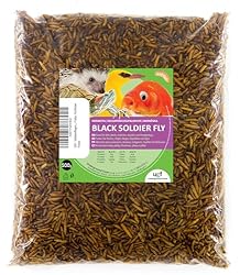 UGF - Larvas de mosca de soldado Hermetia - Mejor ...: 💪 PROTEÍNAS Y CALCIO - Las larvas de mosca soldado negra deshidratadas ofrecen varias ventajas sobre los gusanos de la harina, como una mayor densidad nutricional, sostenibilidad y una conversión alimenticia eficiente. Por lo tanto, las larvas de mos...