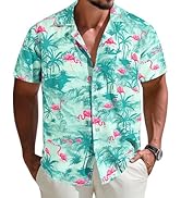 APTRO Men's Hawaiian Shirt Short Sleeve Tropical Vacation Button Down Beach Floral Palm Shirts
