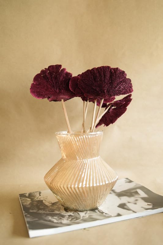 Red Sponge Mushroom | Naturally Dried for Vase Filler for Home Decor| Indoor| Office Decor | Room Decoration | Photography Props (Set of 5)-image-12