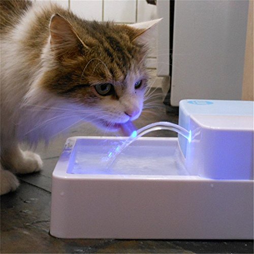HTDirect - Fuente de agua automática para mascotas (1,8 L, con esterilización UV, 12 V, fuente de agua potable, para perros y gatos