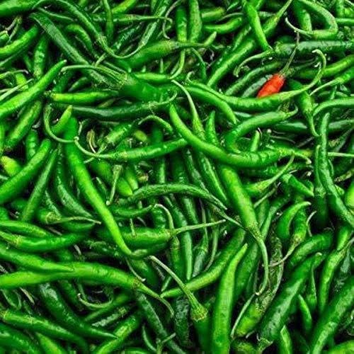 Desi Chili G4 Pepper | Chilli Seeds | Seeds Tested And Packed For Terrace and Home Gardening (Chilli) (200 Per Packet)-image-49