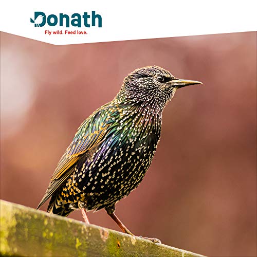 Donath Balkon Mix - schalenfreie Mischung für einen sauberen Balkon - wertvolles Ganzjahres Wildvogelfutter - aus unserer Manufaktur in Süddeutschland - 1 Kg