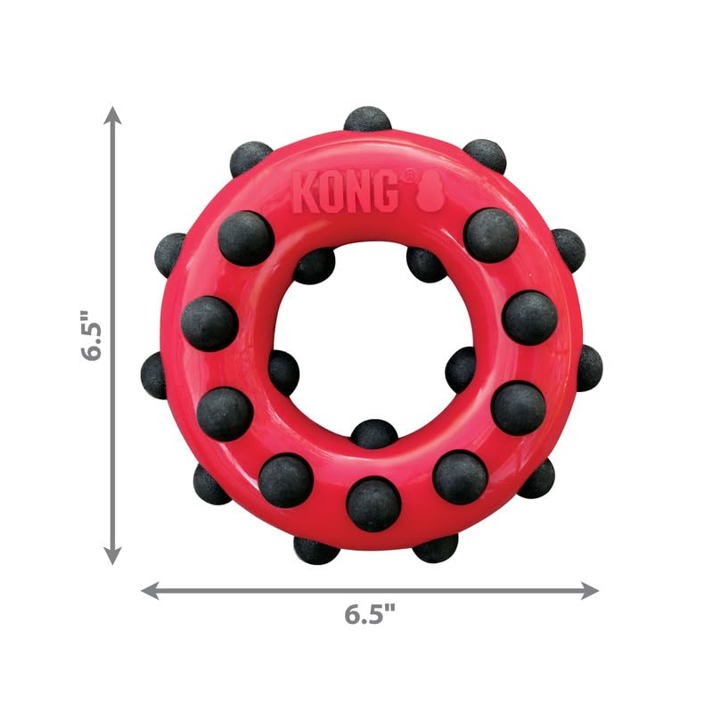 KONG – Dotz Circle – Hundespielzeug zum Kauen und zur Zahnreinigung – Für Große Hunde