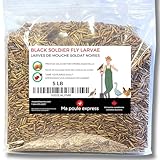 Dried Black Soldier Fly Larvae Chicken Treats for Chicken, Hens, Duck, Bird, Lizard, Tortoise - High Protein - 5 Pounds