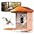 TYST Direct Smart Bird Feeder Camera - Solar Powered, AI Recognition, Auto-Record HD, Outdoor Bird Watching Experience