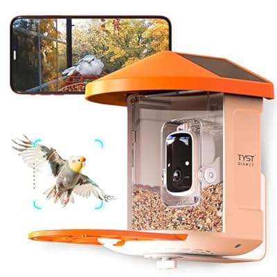 TYST Direct Smart Bird Feeder Camera - Solar Powered, AI Recognition, Auto-Record HD, Outdoor Bird Watching Experience