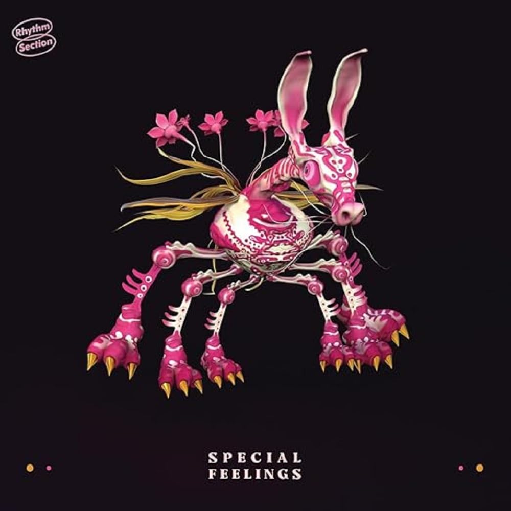SPECIAL FEELINGS [VINYL]