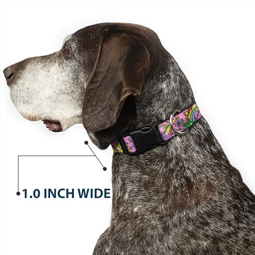 Collier chien nylon large Buckle Down clip plastique réglable taille M - 7