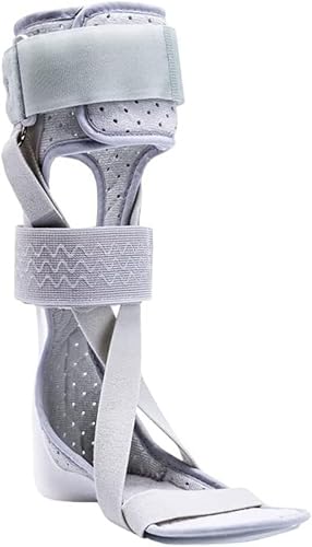 ꋸ ߉\ȑT|[g  p 񑫋(AM)