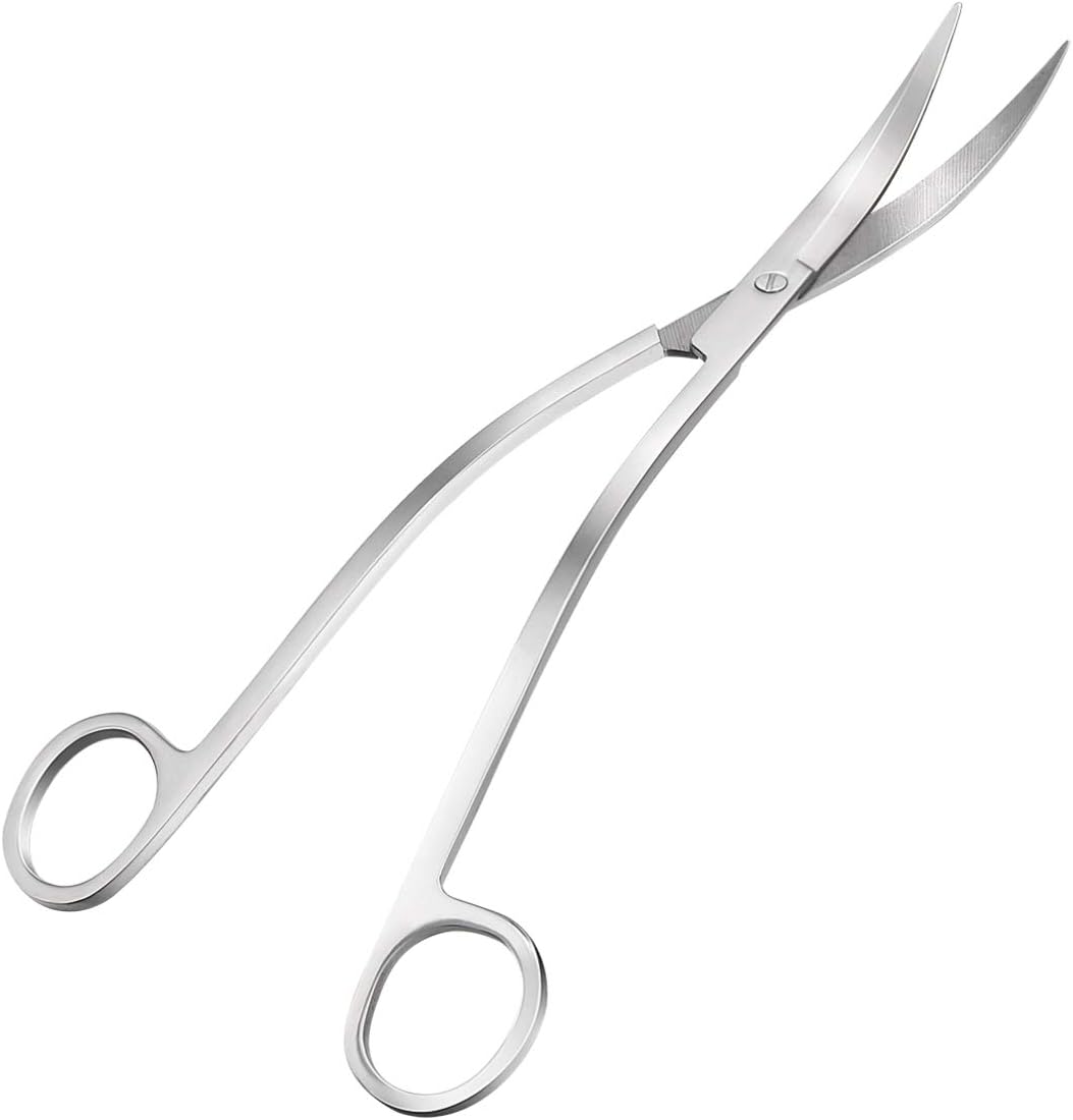 kit di avviamento per acquari