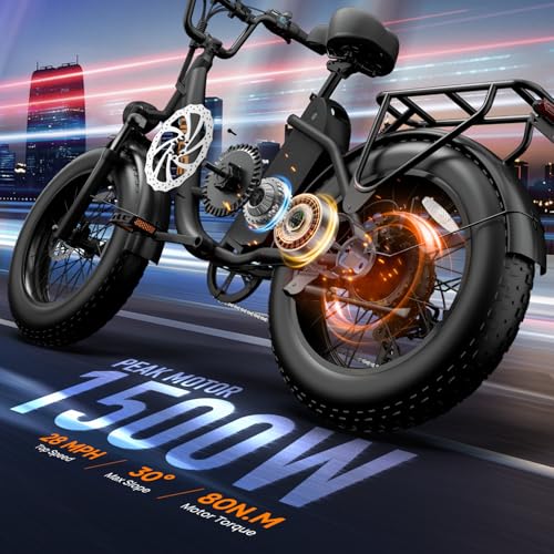 URLIFE 1500W Fat Tire Ebike