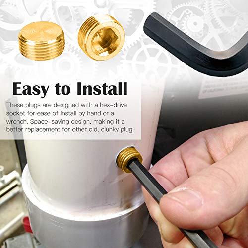 16Pcs-5-Sizes-Brass-NPT-Plug-Assortment-Kit-18-14-38-12-34-Internal-Hex-Counter-Sunk-Pipe-Fitting-Male-Thread-Pipe-Plug-Set