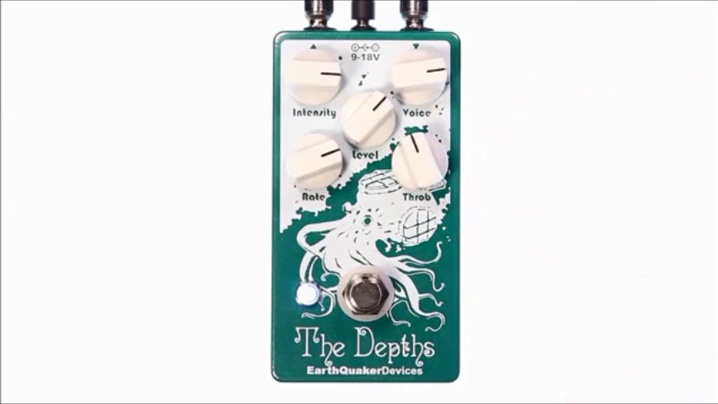 Amazon.com: EarthQuaker Devices The Depths V2 Analog Optical Vibe 