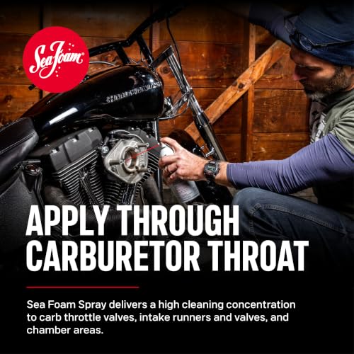 Sea Foam Spray Upper Engine Cleaner
