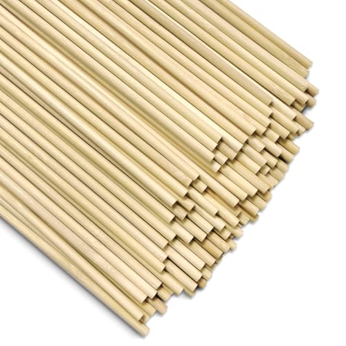 WELANE Round Wood Sticks, 100 PCS Unfinished Bamboo Sticks for Arts Craft, DIY Crafts Projects (20cm/7.87in)