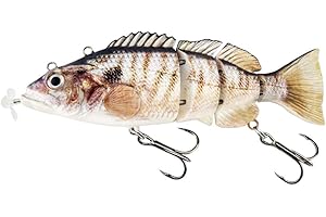 Robotic Swimming Lure: An Electronic Allure for Anglers