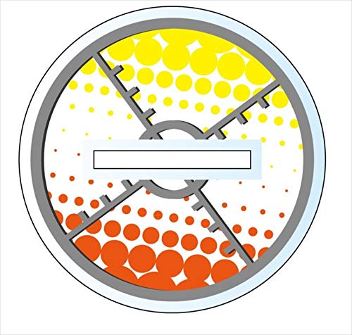 Amazon.co.jp: 家庭教師ヒットマンREBORN! ディーノ+エンツィオ