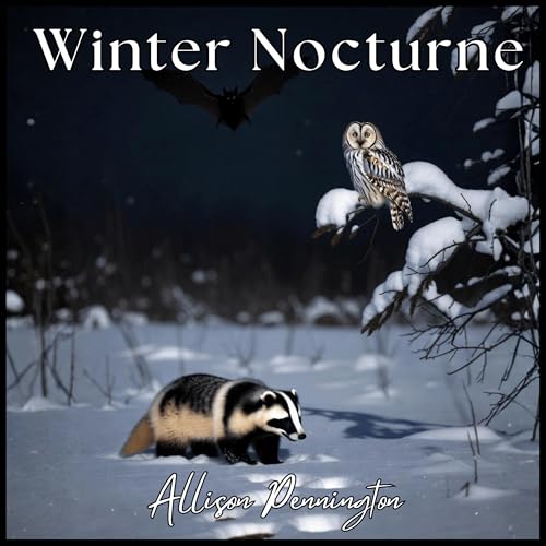 WINTER NOCTURNE