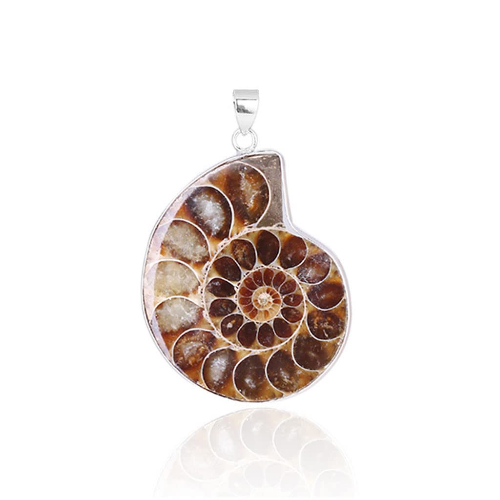 Maxtonser Natural Ammonite s Pendant Jewelry Silver Tone Ammonite s Stone Wrapped Pendant Necklace Fashion Jewelry