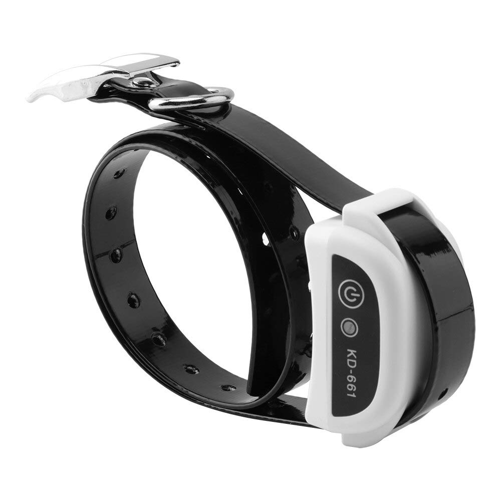 Système de clôture de Chien à Distance sans Fil étanche 1/2/3 Animaux de Compagnie 0-100 Niveau Dispositif de clôture électronique Collier de Dressage de Chien Choc électrique 1PCBelt
