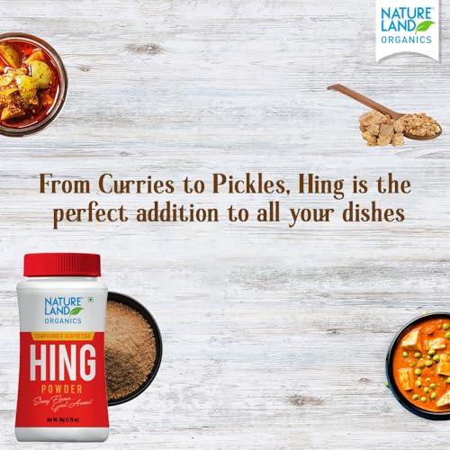 Image of Natureland Organics Hing Powder 50 gm (Pack of 4)