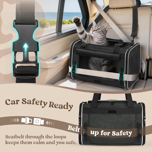 Image of rabbitgoo Cat Carrier Soft with Rollable Flap, Travel Safe for Car Airline