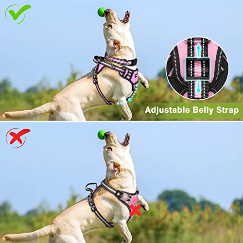 Winsee Step In Dog Harness Collar And Leash Set, All-In-One Reflective No Escape Dog Harness With Adjustable Buckles For Pet Puppies, Small, Medium, Large, And Extra-Large Dogs #TOP5