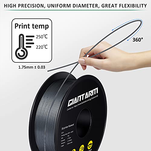 Image of GIANTARM Silver PETG 3D Printer Filament Toughness Enhanced 1kg (2.2lbs), 1.75mm Dimensional Accuracy + /-0.03mm, 1080 Feet（330m /Roll, Vacuum Package, Fit for Most 3D FDM Printer