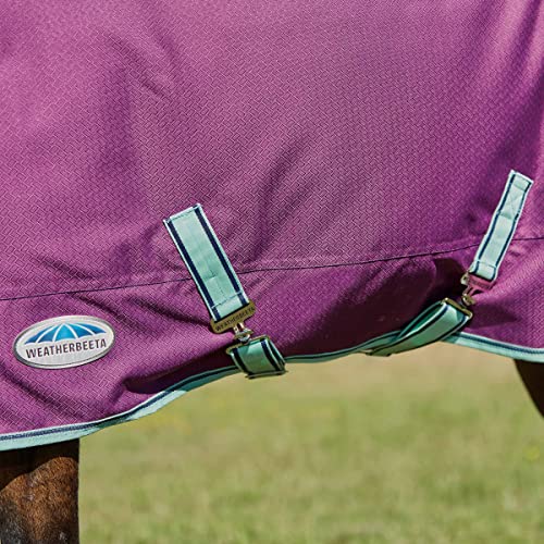 Image of WeatherBeeta ComFiTec Premier Freedom Pony Standard Neck Lite, Purple /Navy /Mint, 66 inch