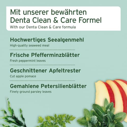 AniForte Denta Snack für Hunde 300g - natürliche Zahnpflege, gegen Hund Mundgeruch, Hundeleckerli für gesunde Zähne & Vorbeugung, Mundhygiene Zahnpflegesnacks getreidefrei