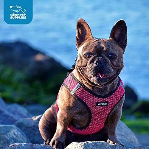 Voyager Step-In Air Dog Harness - All Weather Mesh Step In Vest Harness For Small And Medium Dogs By Best Pet Supplies - Fuchsia (2-Tone), M #TOP6