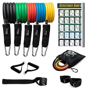 12 Pc Resistance Bands Set – ...
