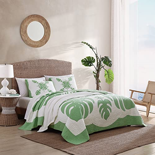Funda estándar de algodón verde Molokai Tommy Bahama para almohada de dormitorio 4