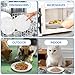 Galerie SV 4 Stück Futternapf Katze - Katzen Napfset - Katzennapf Keramik - Katzennapf ErhöHt - Napf Katze - Katzen Fressnapf - ErhöHter Futternapf (No Pattern Match)