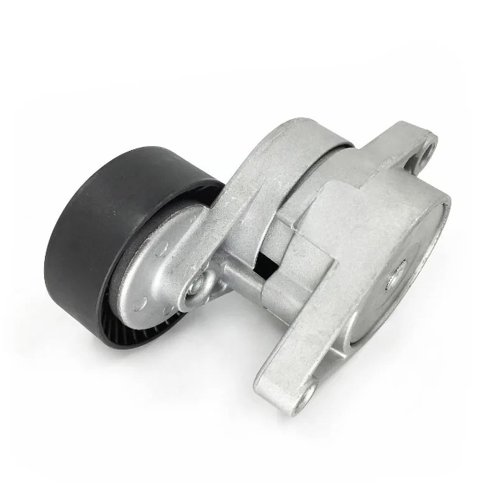 Tendeur de chaîne BMW E46 E39 E60 pour résoudre les bruits moteur