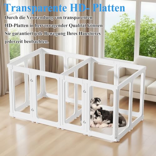 Enclos chiot transparent facile à nettoyer en acrylique modulable pour appartement