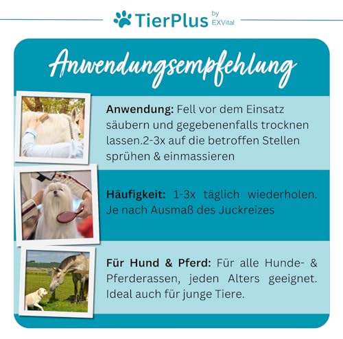 TierPlus Juckreizspray für Pferde & Hunde, 500 ml Sprühflasche, Gegen Juckreiz, Entzündungen & Ekzeme, Soforthilfe bei Allergien & trockener Haut, clevere Pflegeformel