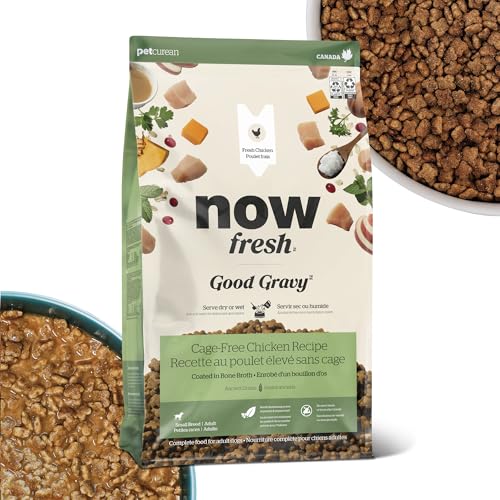 【おいしさ2WAY!100%新鮮食材】 ナウフレッシュ グッドグレービー 0.8kg 成犬 シニア 小粒 小型犬 全犬種 ドッグフード ミールフリー グルテンフリー アレルギー対応 (ゲージフリーチキン)