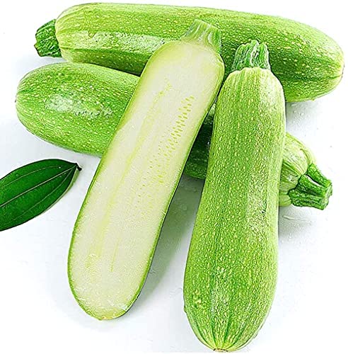 50 Stks Courgette Zaden Lichte Huid Outdoor Farm Planten Heirloom Squashi Zaad Gemakkelijk Te Zorgen Groenten Tuinieren… - Afbeelding 4