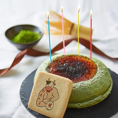 ṼXC[c  `[YP[L 15cm 1  a x -߂ł 