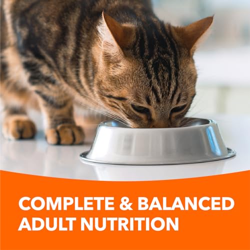 IAMS Proactive Health Indoor Weight & Hairball Care Adult Dry Cat Food – Chicken & Turkey - 1.59KG (3.5LB) Bag image 5